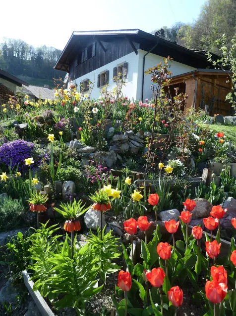 Le Jardin Fleuri - Image 1