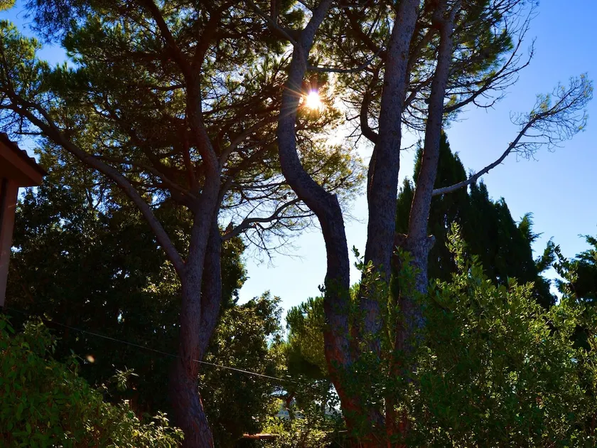 Cozy Holiday Home in Monte Argentario With Private Garden - Image 1