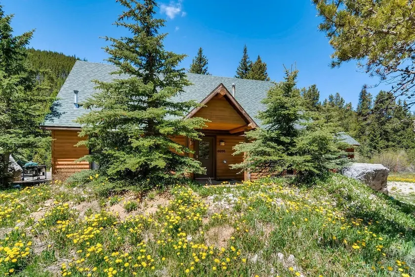 98 Mountain View Trail Cabin - 3 Br cabin by RedAwning - Image 1