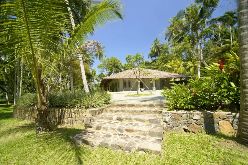 Ivory House - Image 1