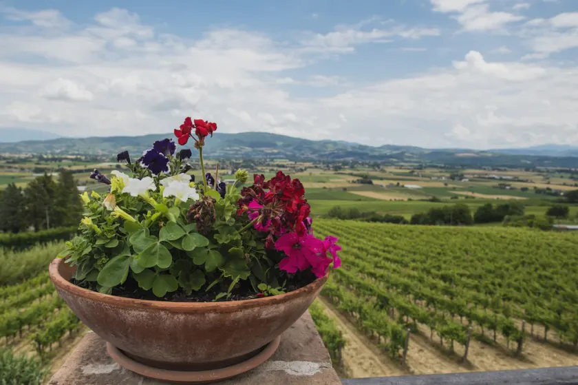 Agriturismo Chiorri - Image 1