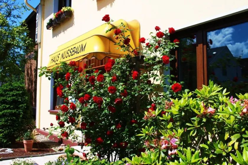 Hotel Haus Nussbaum - Image 1