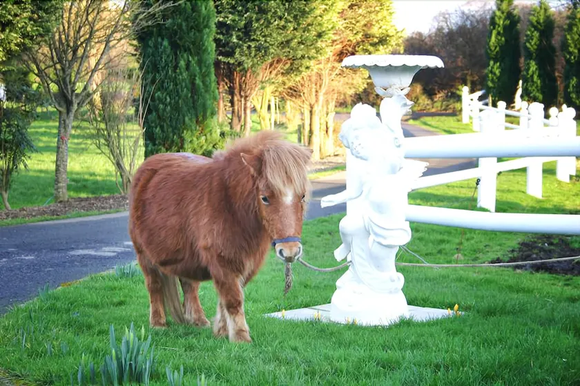 Arradale House B&B - Image 1