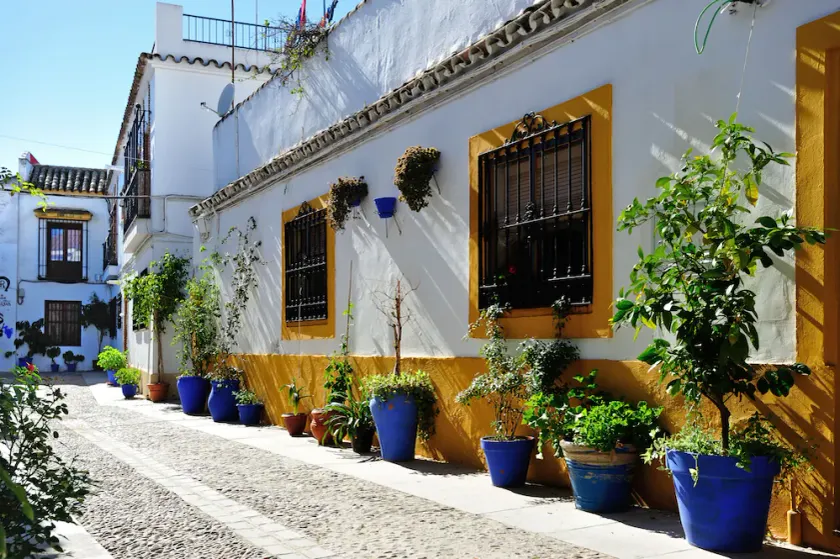 Alojamiento DePatios - Image 1