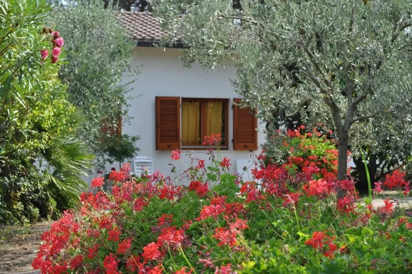 3 bedrooms house at Lacona 100 m away from the beach with enclosed garden - Image 1