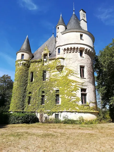 Demeure de 7 chambres a Mosnay avec jardin clos et WiFi - Image 1
