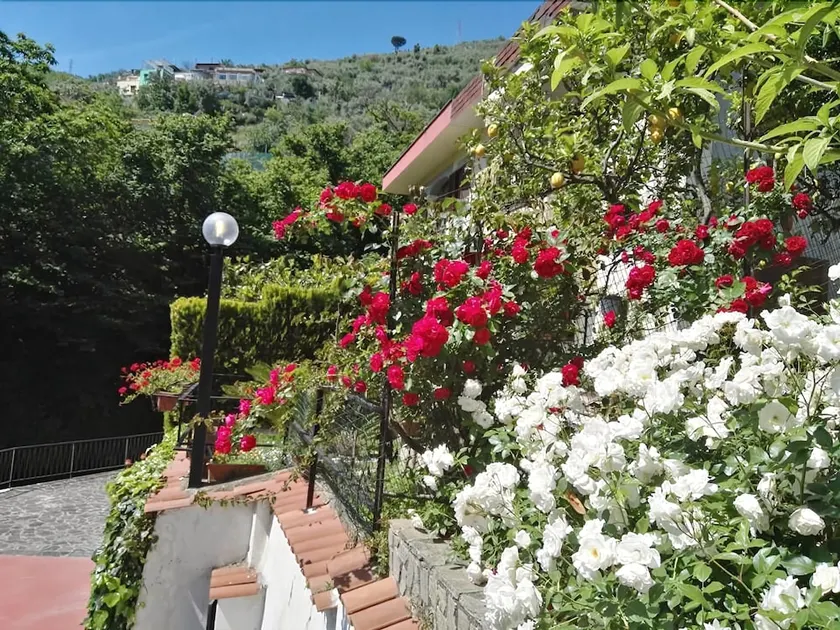 B&B La Casa Dei Fiori - Image 1