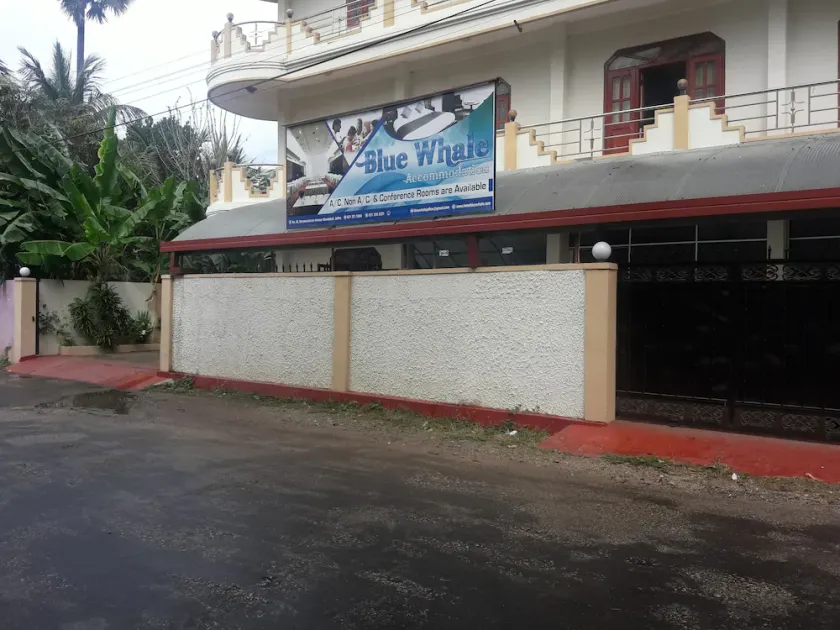 Hotel Blue Whale - Image 1