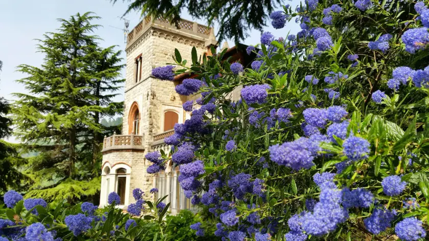Il Parco e gli Affreschi - Image 1