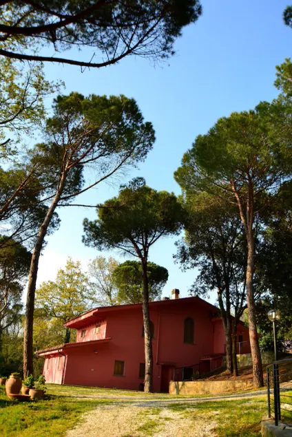 Agriturismo Poggio Al Pino - Image 1