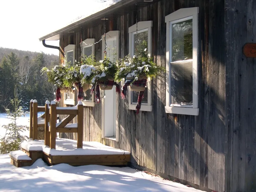 Chalets des Pins - Image 1