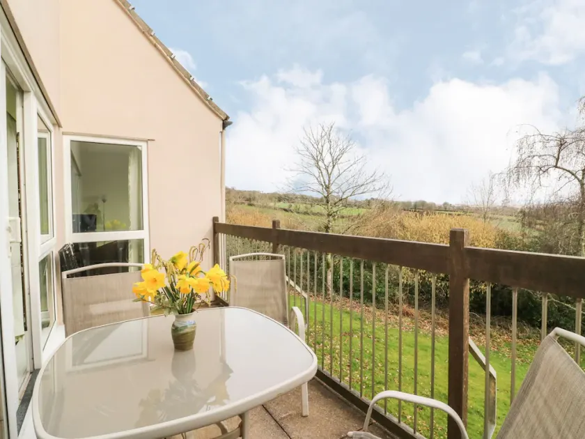 Tamar Honicombe Manor - Image 1