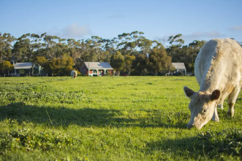 Freshwater Creek Cottages & Farm Stay - Image 1