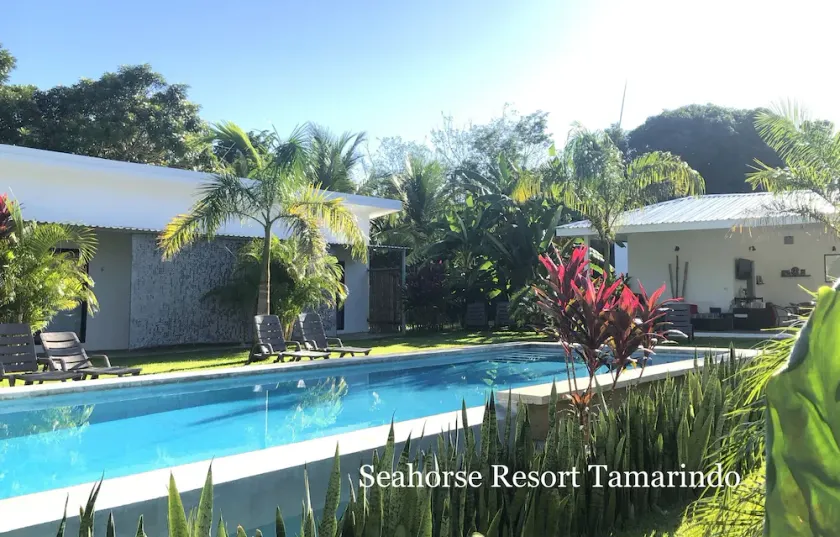 Seahorse Resort And Dive Center - Image 1