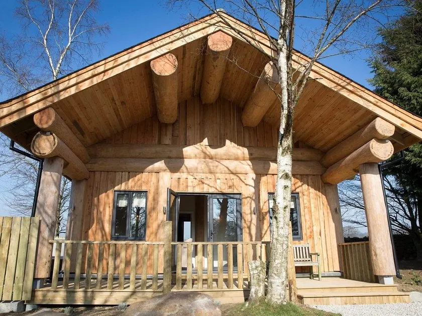 Braisty Woods - Knotty & Nice - Image 1