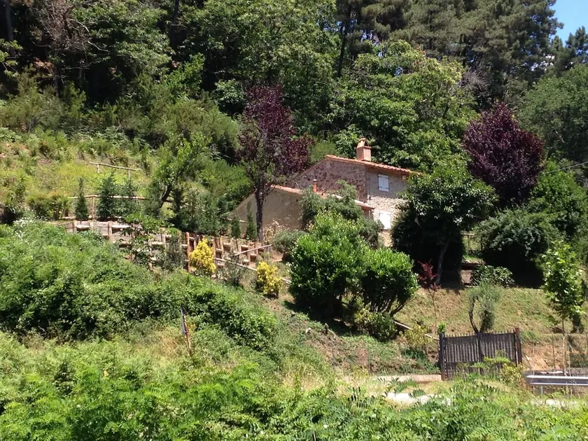 Al Casale di Cozzile - Image 1