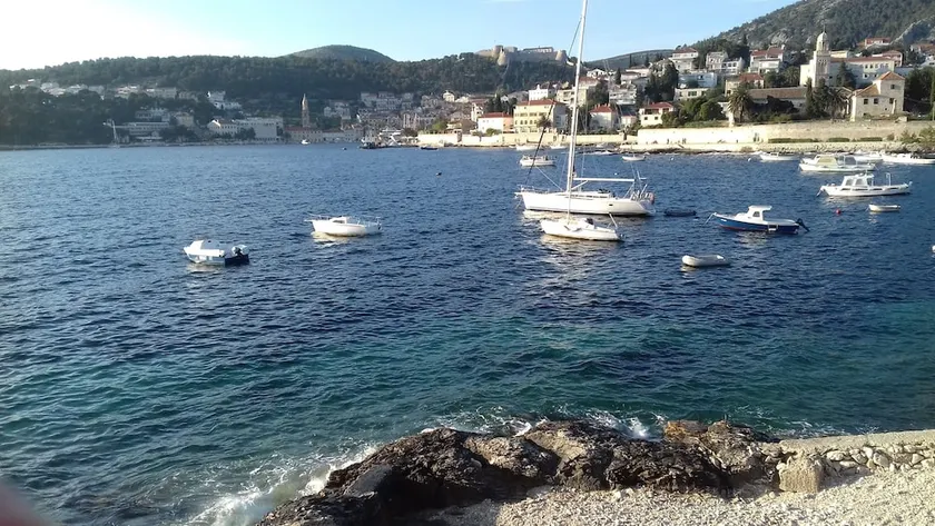 Vijola - Image 1