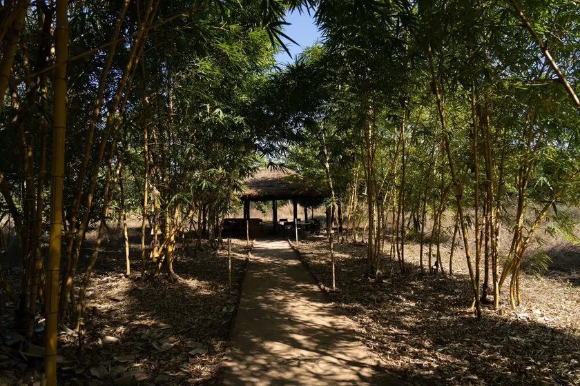 Bagh Tola - Image 1