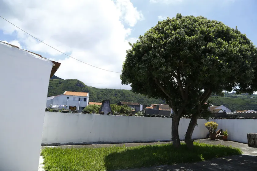 Magnólia - Image 1
