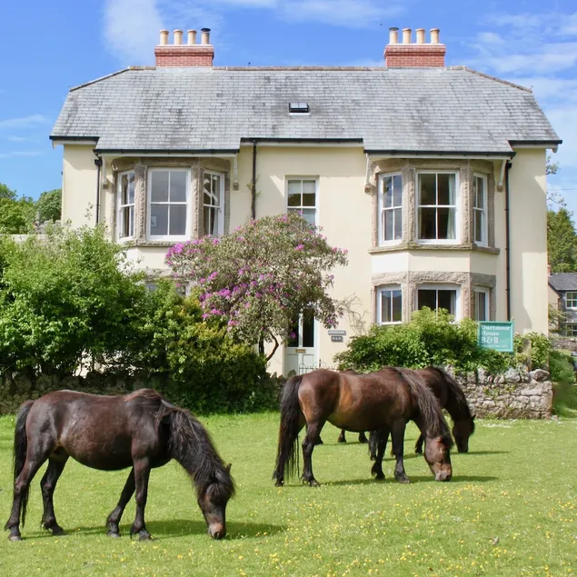 Dartmoor House B & B - Image 1