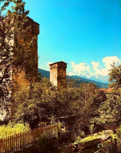 Shaulini - Image 1