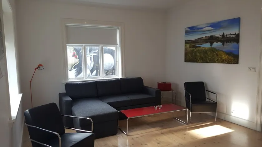 Luna Apartments - Laugavegur 37 - Image 1