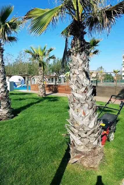 Camping Village Misano - Image 1
