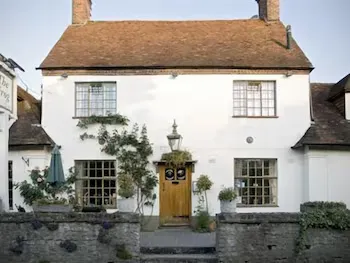 The Frog - Image 1
