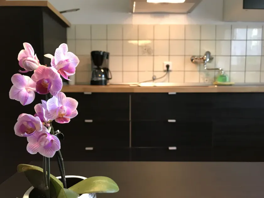 Apartmenthaus Marten - Image 1