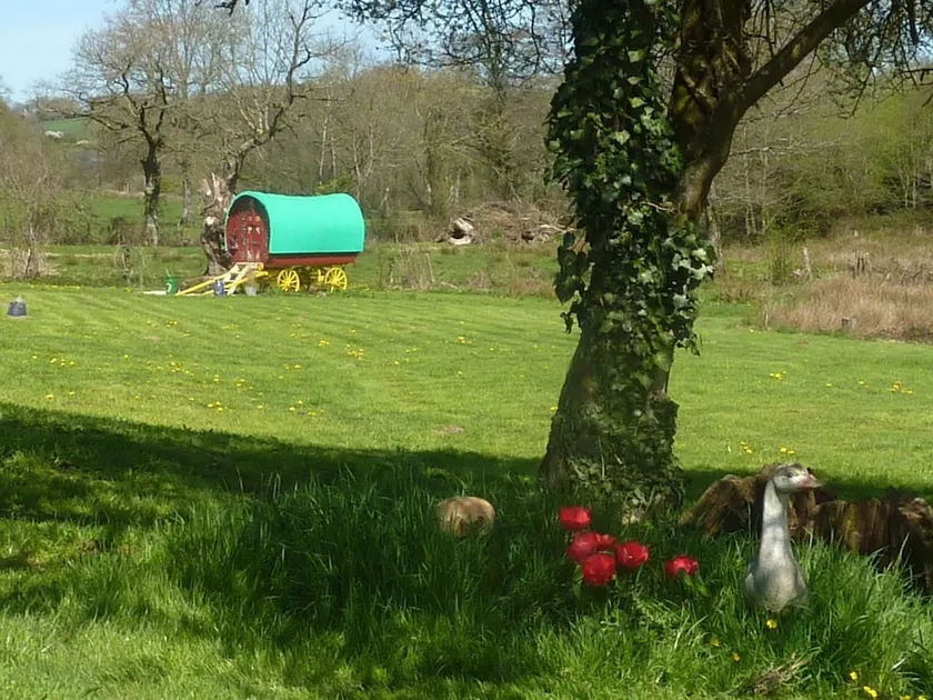 La Ferme De Bohème - Image 1