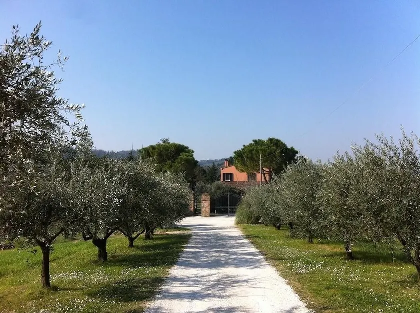Paradisoincollina ss - Image 1