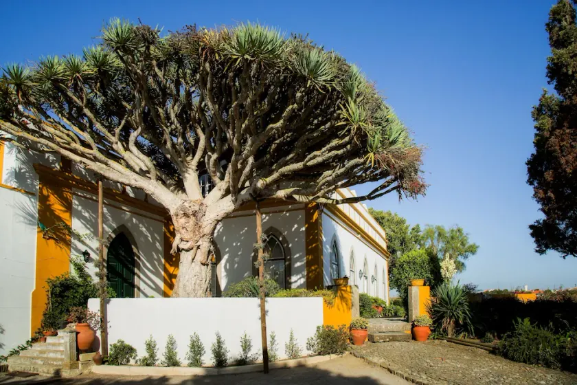 Casa do Castelo Manor House - Image 1