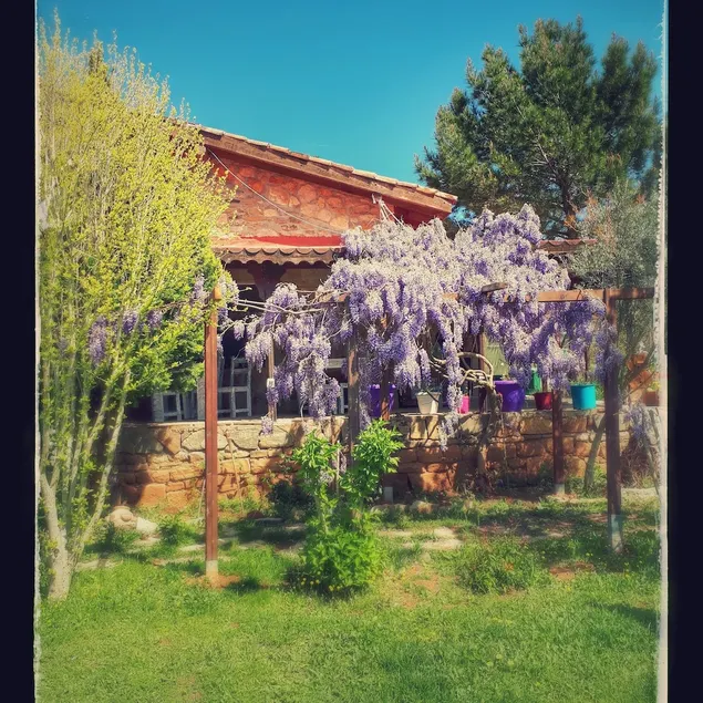 Siginak Hotel - Image 1