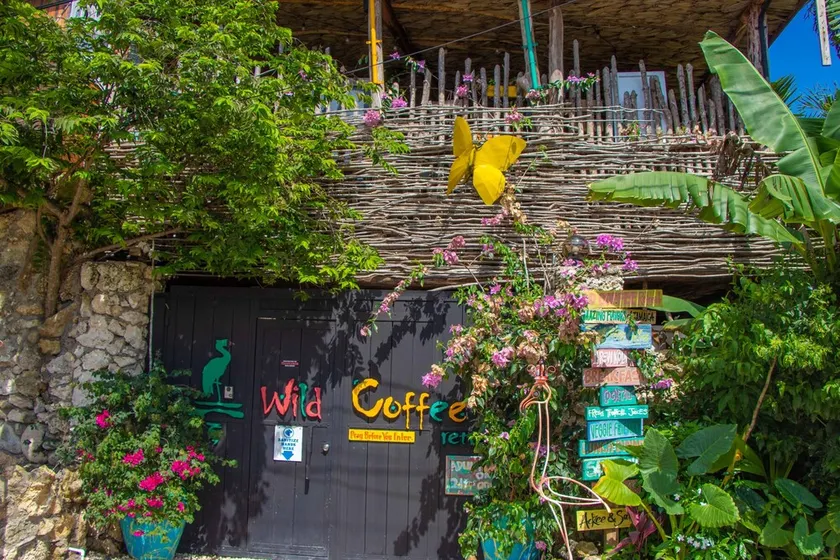 Wild Coffee Retreats - Image 1