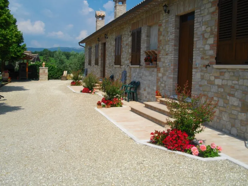 Il Falco - Image 1