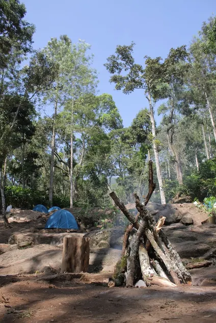 Gypsy Spot - Image 1