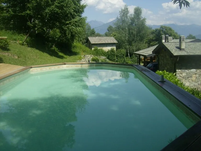 Bella Uno - Image 1
