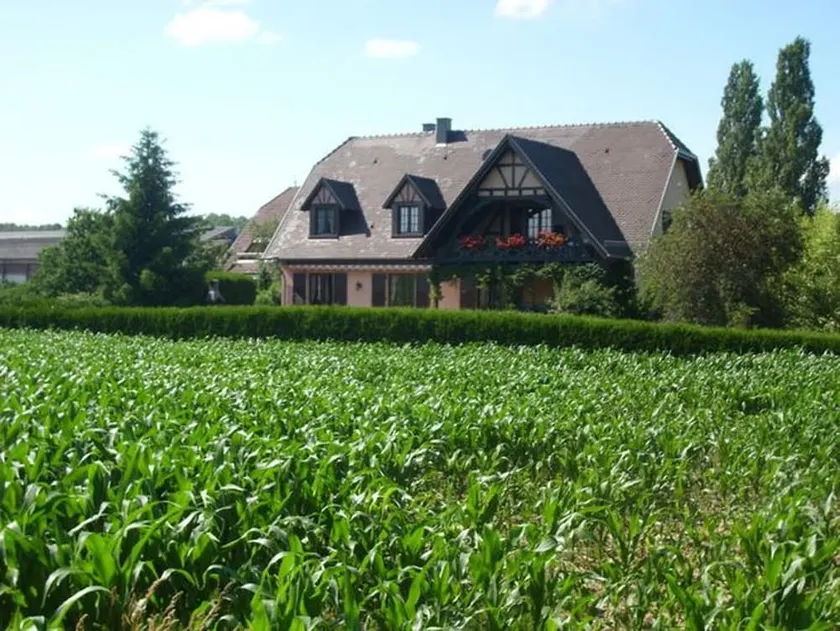Appartement de vacances avec jardin et barbecue | Vue jardin - Image 1