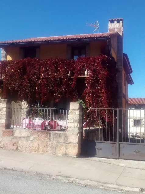 Apartamentos Turisticos Los Tejos - Image 1