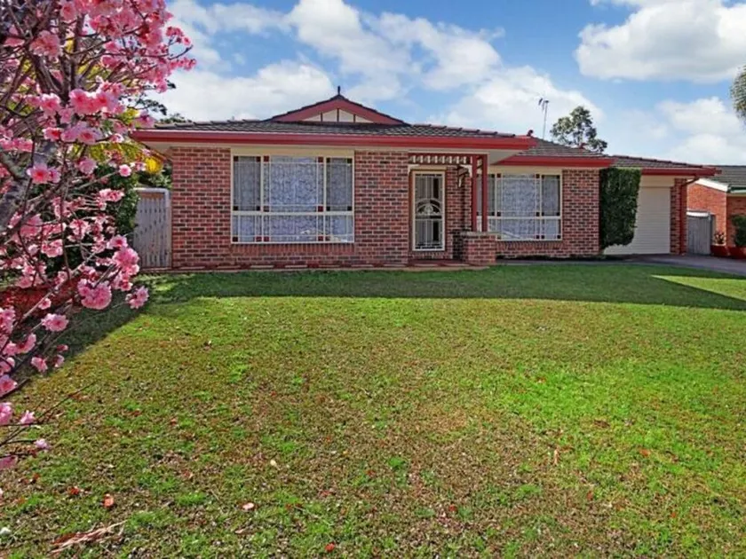 14 Lomandra - Image 1
