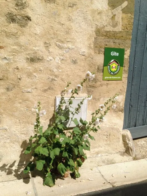 Gites Les Tournesols - Image 1