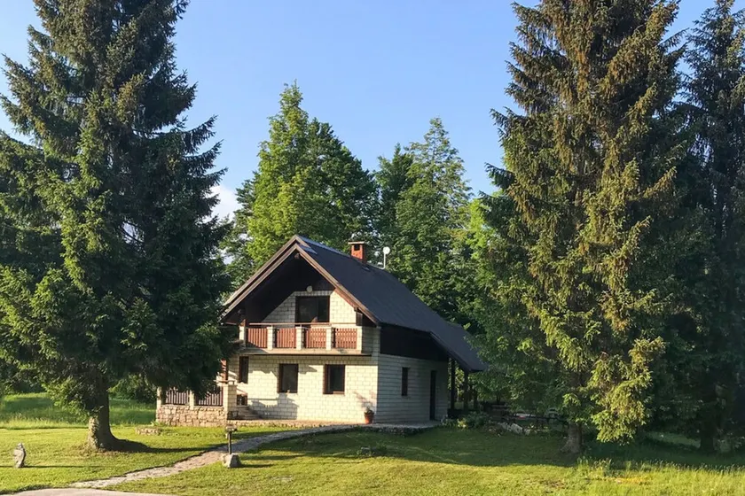 House Lily - Image 1