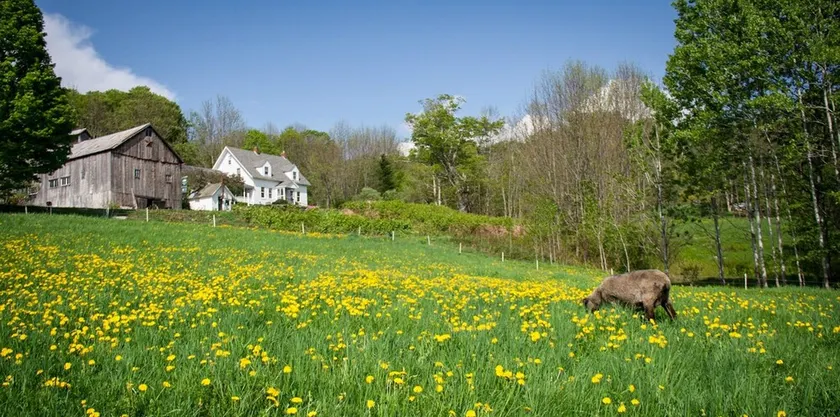 Vermont Grand View Farm - Image 1