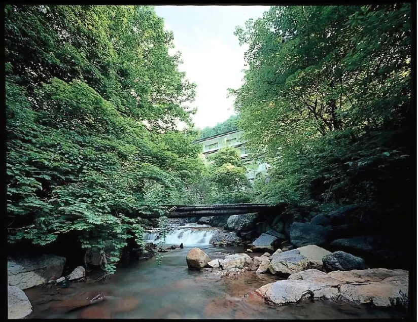 Yokoya Onsen Ryokan - Image 1