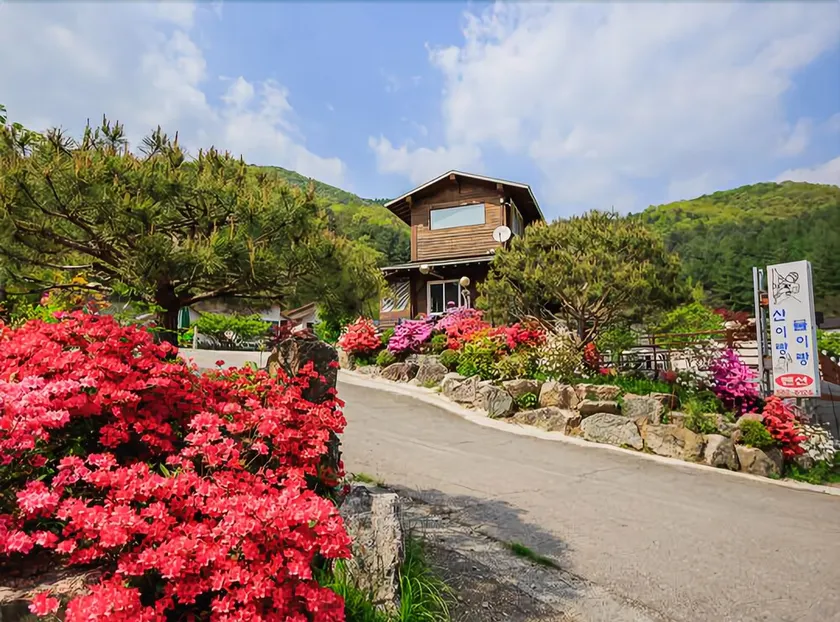 Gapyeong Mountain Or Sea Pension - Image 1