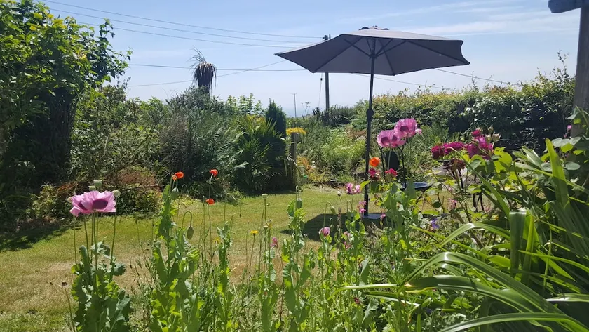 Marthys Bed & Breakfast - Image 1