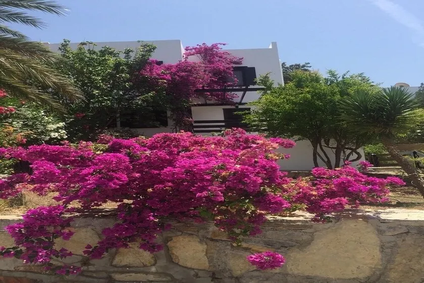 BO025 Bodrum - Image 1