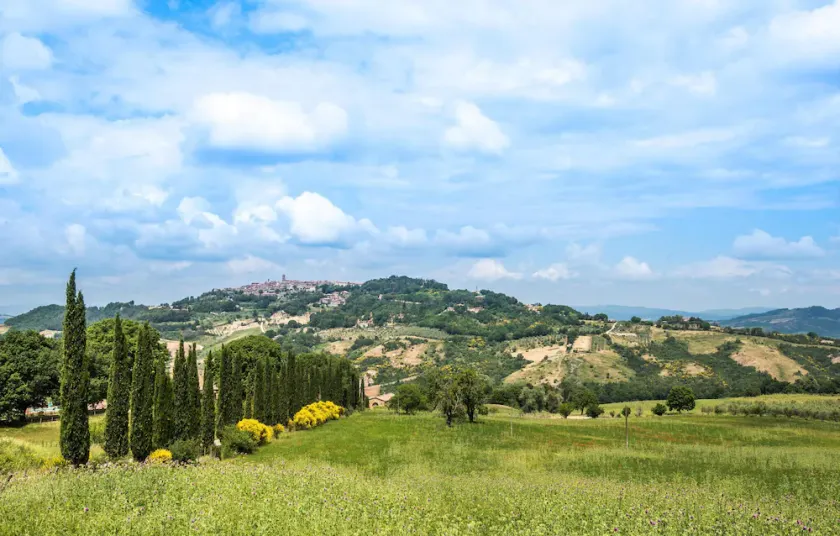 La Capannina - Image 1