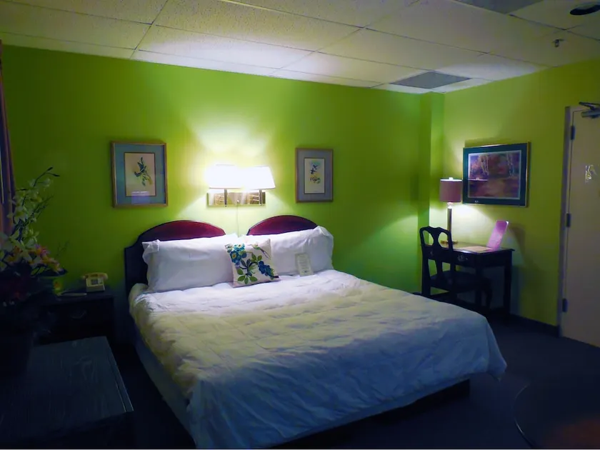 Higher Ground Hotel - Image 1