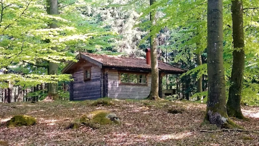 Bokebacken Forest Hotel - Image 1